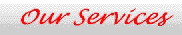 Our Services